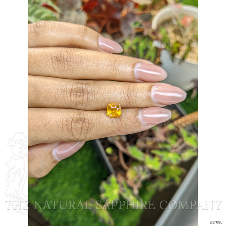 1.95 Ct. Yellow Sapphire from Ceylon (Sri Lanka)