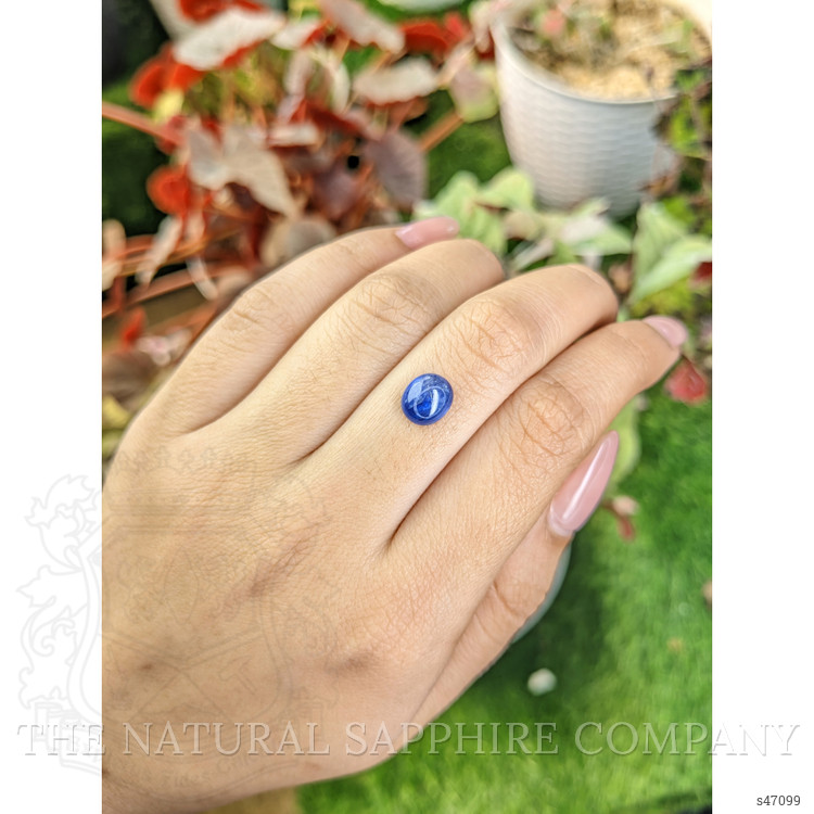 2.57 Ct. Blue Cabochon Sapphire from Ceylon (Sri Lanka)
