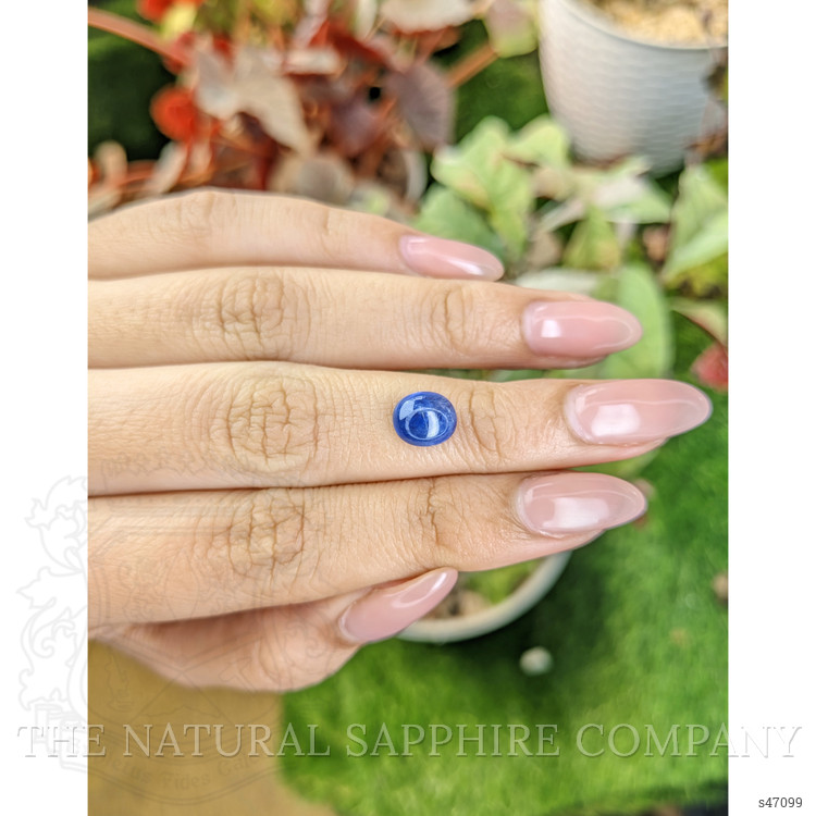 2.57 Ct. Blue Cabochon Sapphire from Ceylon (Sri Lanka)