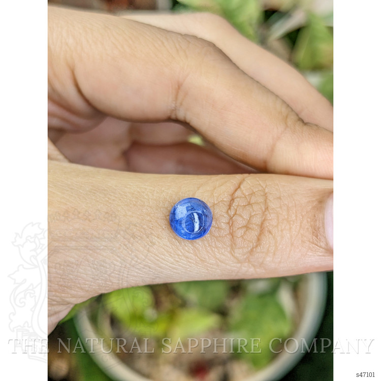 1.93 Ct. Blue Cabochon Sapphire from Ceylon (Sri Lanka)