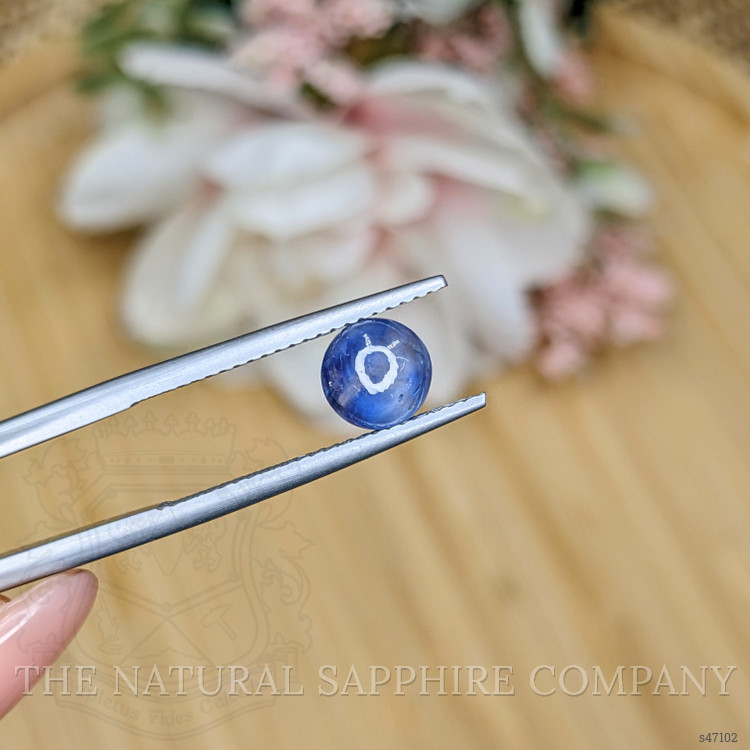 1.46 Ct. Blue Cabochon Sapphire from Ceylon (Sri Lanka)