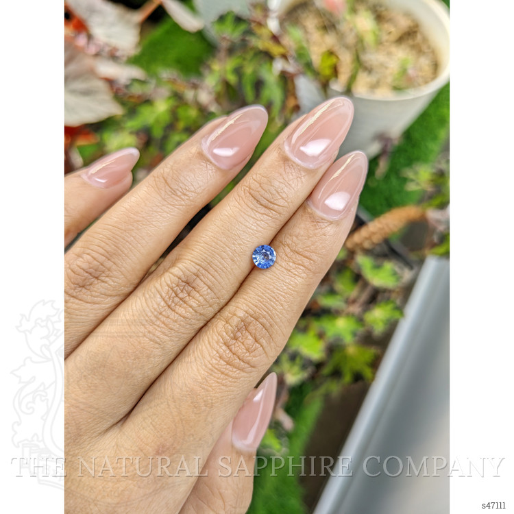 0.49 Ct. Blue Sapphire from Ceylon (Sri Lanka)