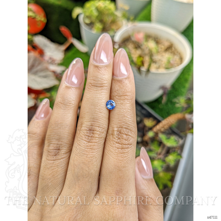 0.49 Ct. Blue Sapphire from Ceylon (Sri Lanka)