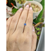 0.56 Ct. Blue Sapphire from Ceylon (Sri Lanka) Life Style