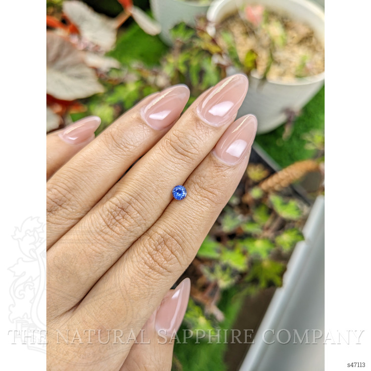 0.35 Ct. Blue Sapphire from Ceylon (Sri Lanka)
