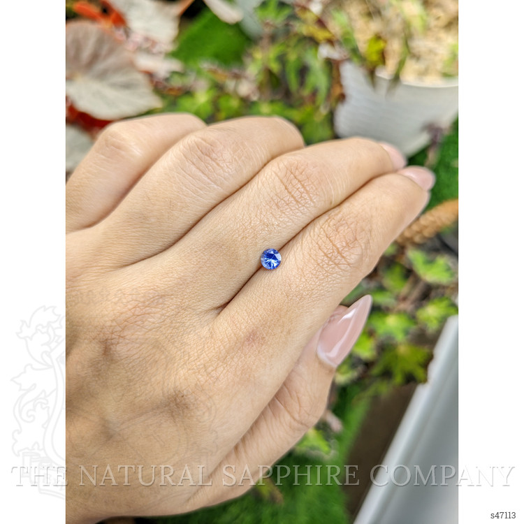 0.35 Ct. Blue Sapphire from Ceylon (Sri Lanka)