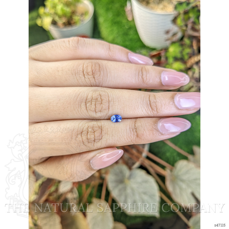 0.49 Ct. Blue Sapphire from Ceylon (Sri Lanka)