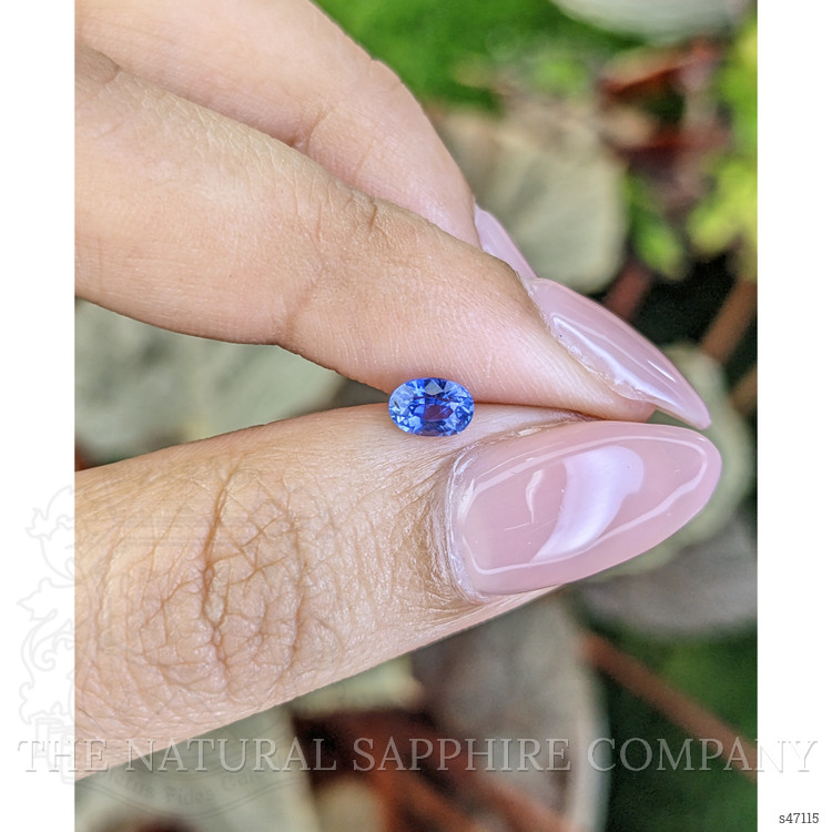 0.49 Ct. Blue Sapphire from Ceylon (Sri Lanka)