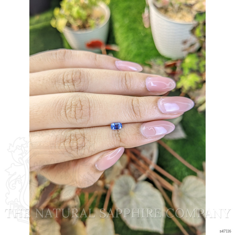 0.45 Ct. Blue Sapphire from Ceylon (Sri Lanka)