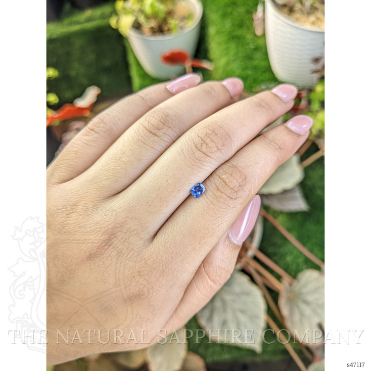 0.35 Ct. Blue Sapphire from Ceylon (Sri Lanka)