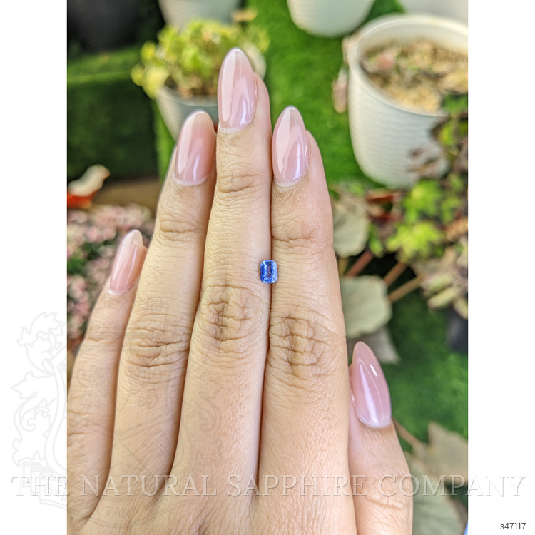 0.35 Ct. Blue Sapphire from Ceylon (Sri Lanka)