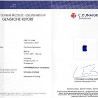 8.47 Ct. Blue Sapphire from Ceylon (Sri Lanka) Scan Report