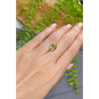 3.66 Ct. Greenish Yellow Sapphire from Ceylon (Sri Lanka) Life Style