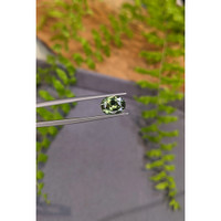3.10 Ct. Green Sapphire from Ceylon (Sri Lanka) Life Style