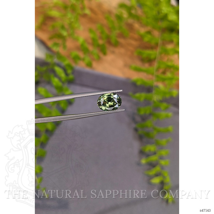 3.10 Ct. Green Sapphire from Ceylon (Sri Lanka)