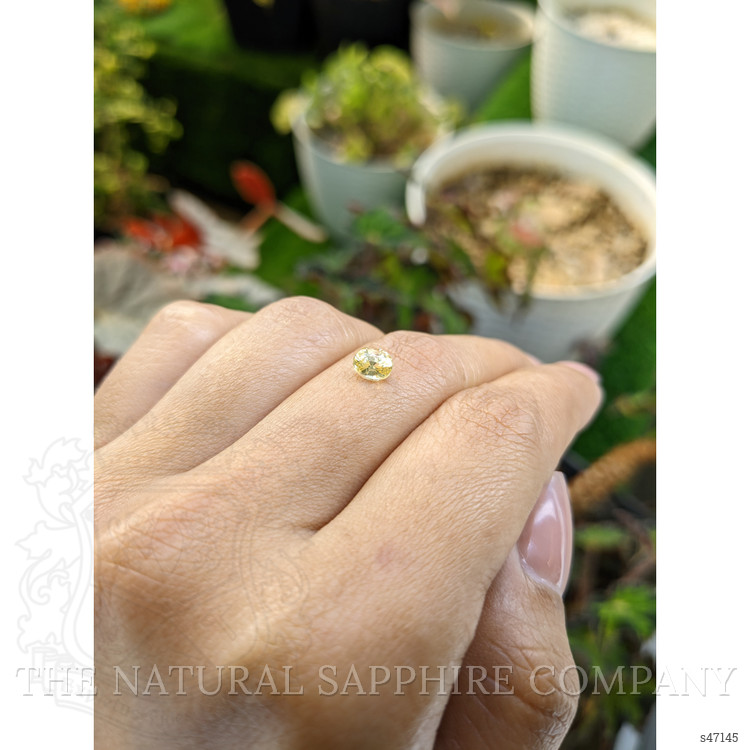0.88 Ct. Yellow Sapphire from Ceylon (Sri Lanka)
