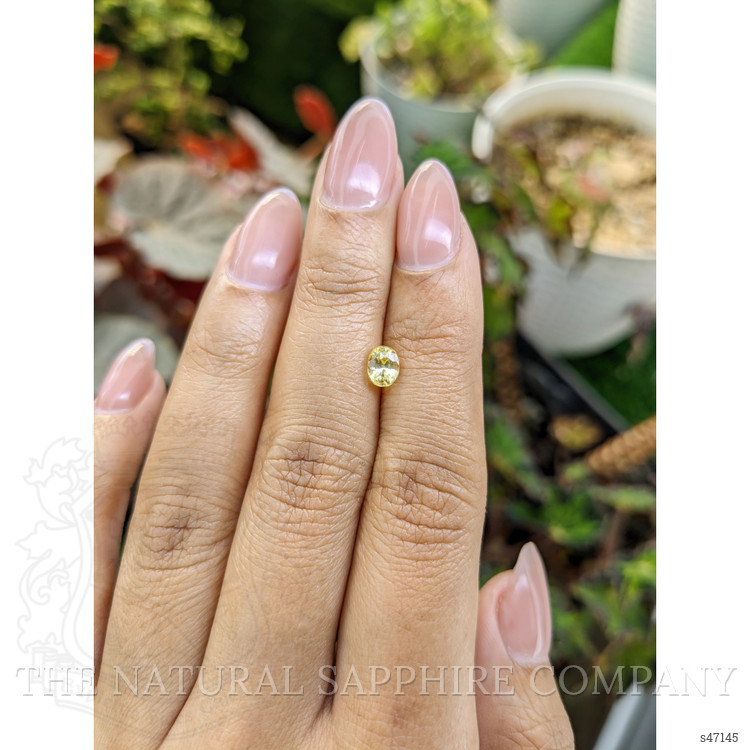 0.88 Ct. Yellow Sapphire from Ceylon (Sri Lanka)