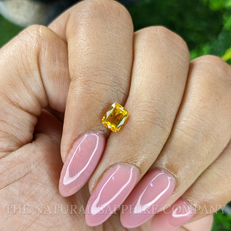 1.03 Ct. Yellow Sapphire from Ceylon (Sri Lanka)