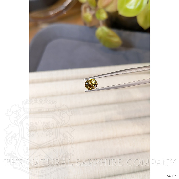 1.04 Ct. Yellow Sapphire from Montana