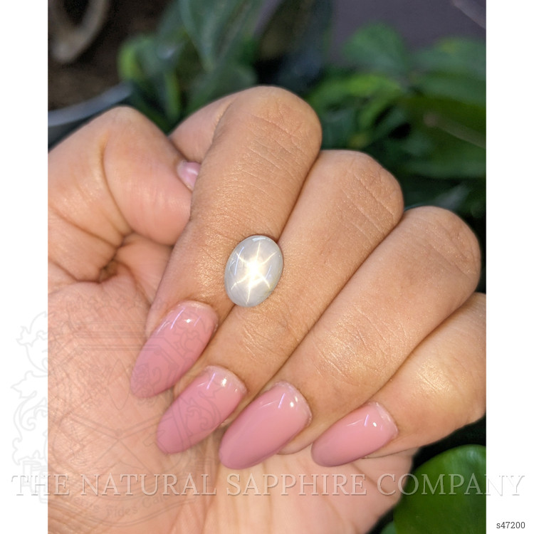 5.76 Ct. Grey Star Sapphire from Ceylon (Sri Lanka)