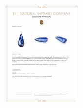 3.11 Ct. Blue Sapphire from Ceylon (Sri Lanka) Appraisal