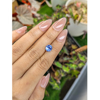 1.95 Ct. Blue Sapphire from Ceylon (Sri Lanka) Life Style