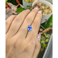 2.70 Ct. Blue Sapphire from Ceylon (Sri Lanka) Life Style