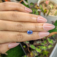 1.97 Ct. Blue Sapphire from Ceylon (Sri Lanka) Life Style