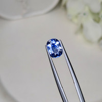 1.97 Ct. Blue Sapphire from Ceylon (Sri Lanka) Life Style