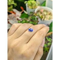 1.97 Ct. Blue Sapphire from Ceylon (Sri Lanka) Life Style