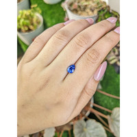 1.43 Ct. Blue Sapphire from Ceylon (Sri Lanka) Life Style