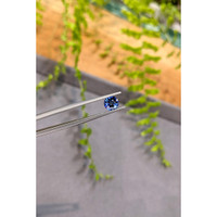 1.02 Ct. Blue Sapphire from Ceylon (Sri Lanka) Life Style