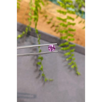 1.09 Ct. Pink Sapphire from Ceylon (Sri Lanka) Life Style
