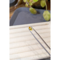 0.99 Ct. Yellow Sapphire from Ceylon (Sri Lanka) Life Style