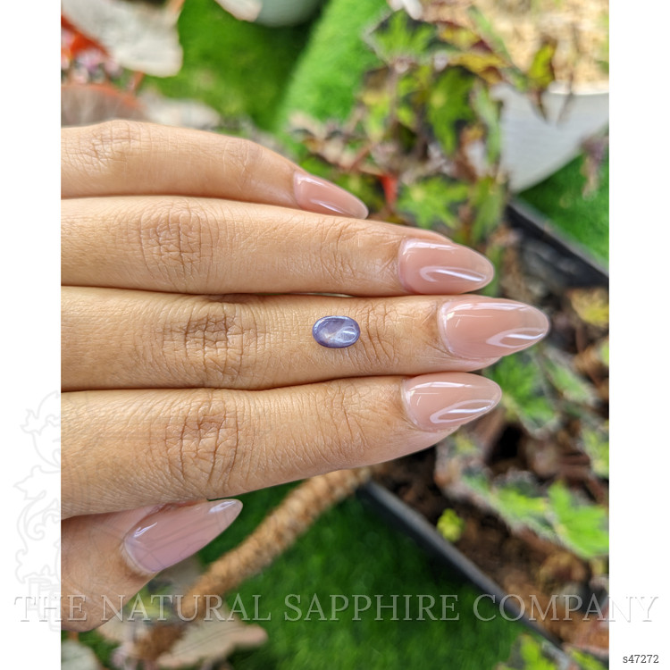 1.42 Ct. Greyish Blue Star Sapphire from Ceylon (Sri Lanka)