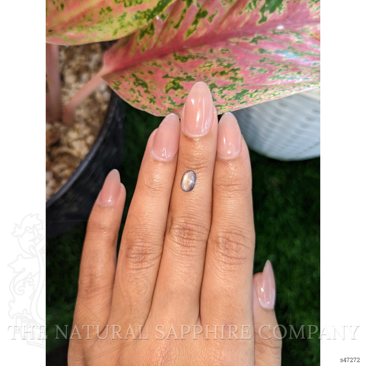 1.42 Ct. Greyish Blue Star Sapphire from Ceylon (Sri Lanka)