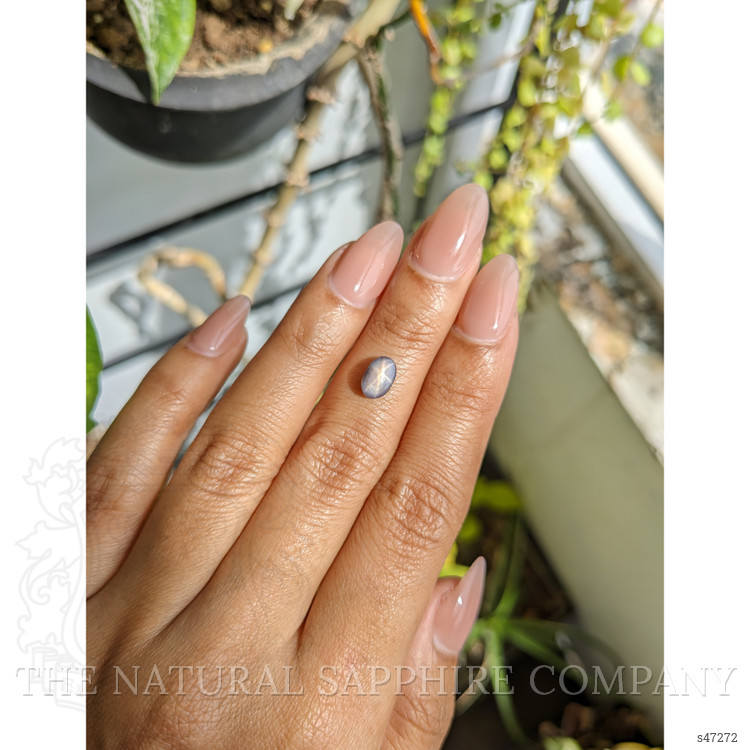 1.42 Ct. Greyish Blue Star Sapphire from Ceylon (Sri Lanka)