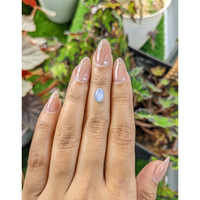 1.63 Ct. Blue Star Sapphire from Ceylon (Sri Lanka) Life Style