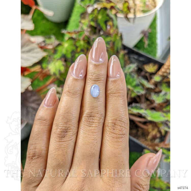 1.63 Ct. Blue Star Sapphire from Ceylon (Sri Lanka)