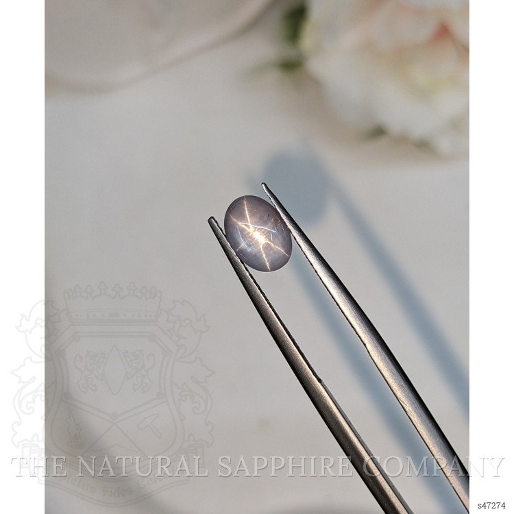 1.63 Ct. Blue Star Sapphire from Ceylon (Sri Lanka)