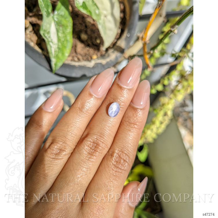 1.63 Ct. Blue Star Sapphire from Ceylon (Sri Lanka)
