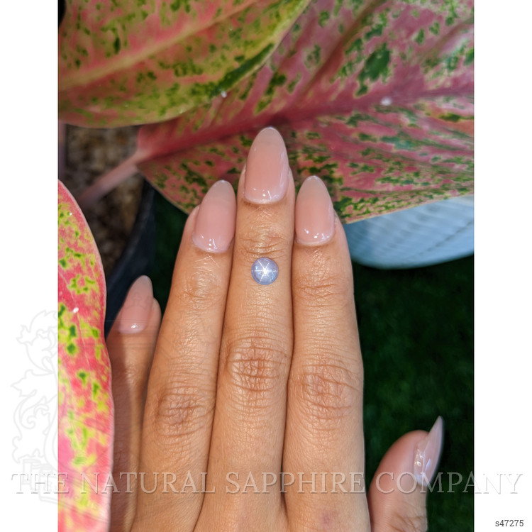1.26 Ct. Bluish Purple Star Sapphire from Ceylon (Sri Lanka)