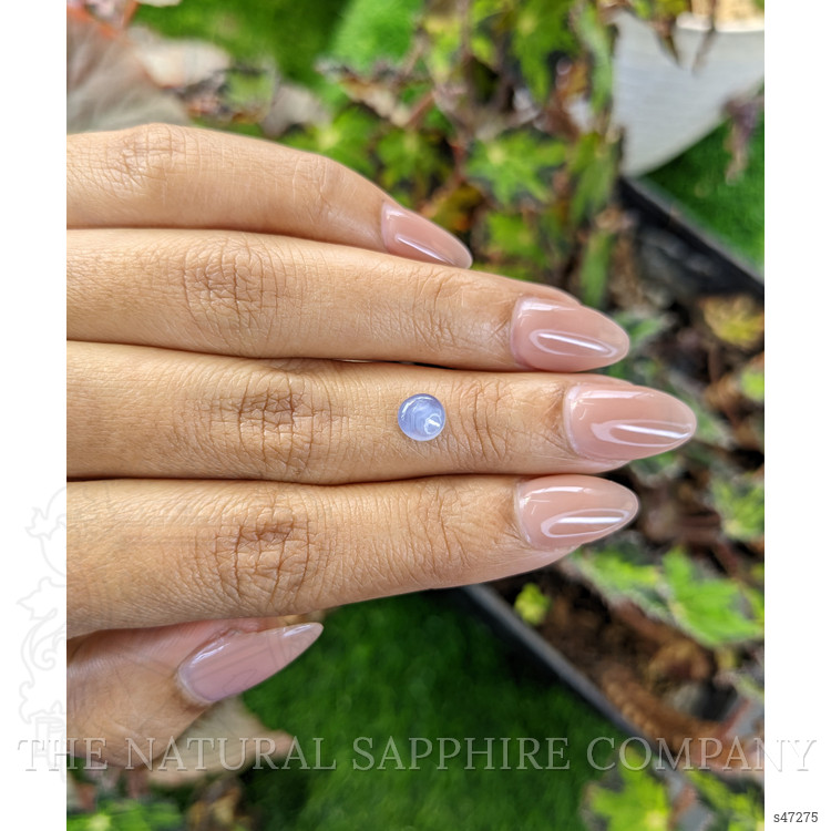1.26 Ct. Bluish Purple Star Sapphire from Ceylon (Sri Lanka)