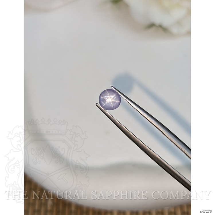 1.26 Ct. Bluish Purple Star Sapphire from Ceylon (Sri Lanka)
