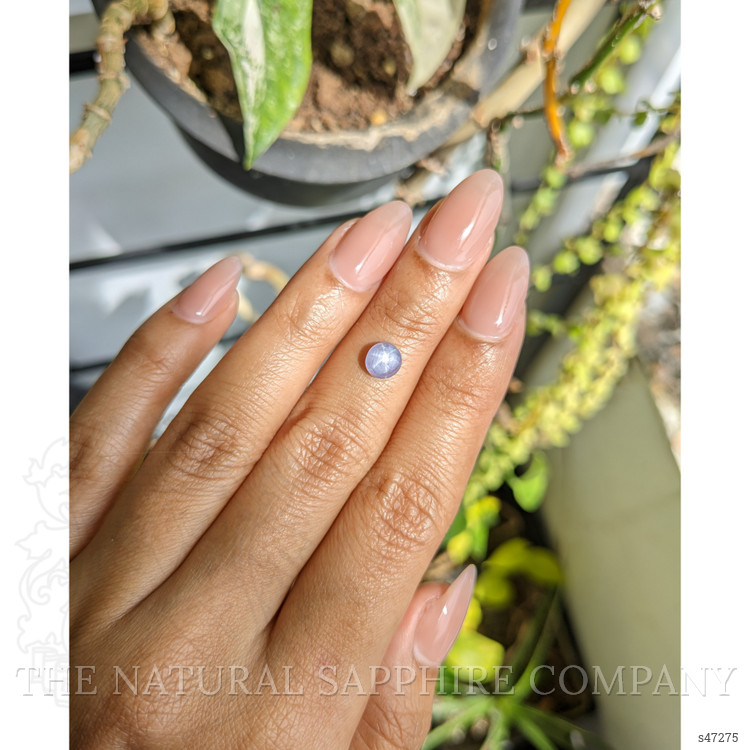 1.26 Ct. Bluish Purple Star Sapphire from Ceylon (Sri Lanka)