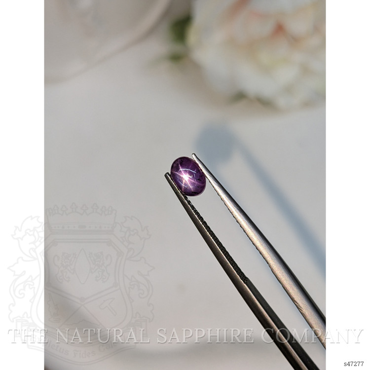 1.04 Ct. Purple Star Sapphire from Ceylon (Sri Lanka)