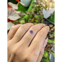 1.04 Ct. Purple Star Sapphire from Ceylon (Sri Lanka) Life Style