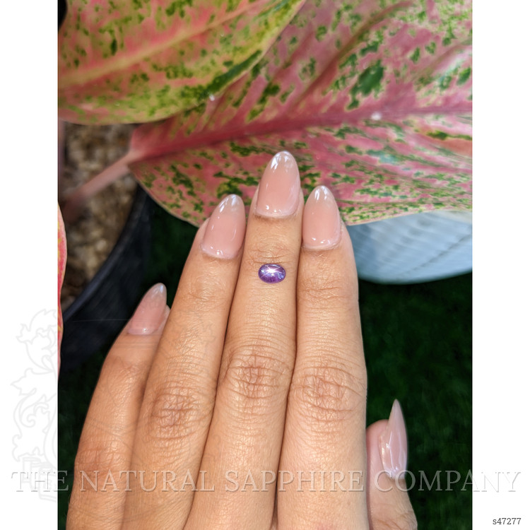 1.04 Ct. Purple Star Sapphire from Ceylon (Sri Lanka)