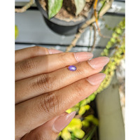 1.04 Ct. Purple Star Sapphire from Ceylon (Sri Lanka) Life Style