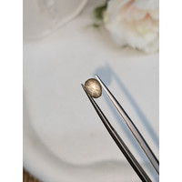 1.48 Ct. Grey Star Sapphire from Ceylon (Sri Lanka) Life Style